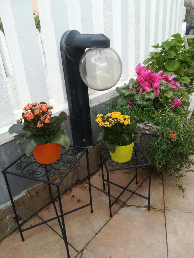 B&B Lety Alghero Exteriér fotografie