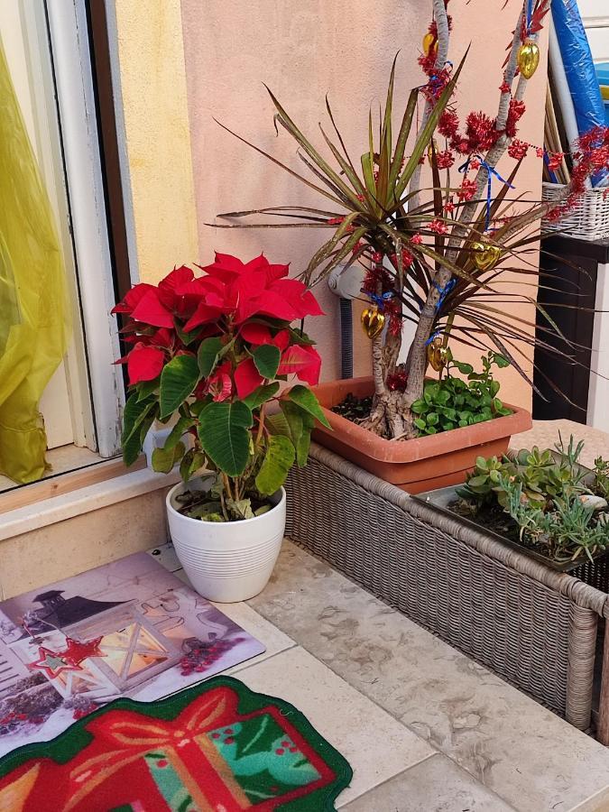 B&B Lety Alghero Exteriér fotografie